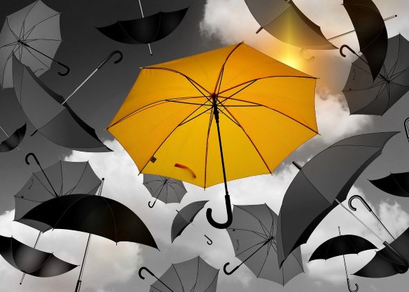 How does your business stand out?